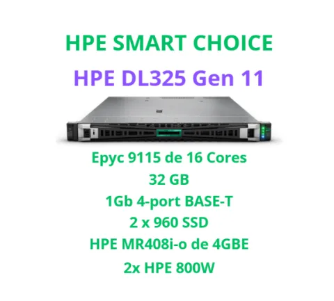 HPE Proliant DL325 Gen 11 AMD EPYC de 16 Cores -  P81830-DM5 (SI)